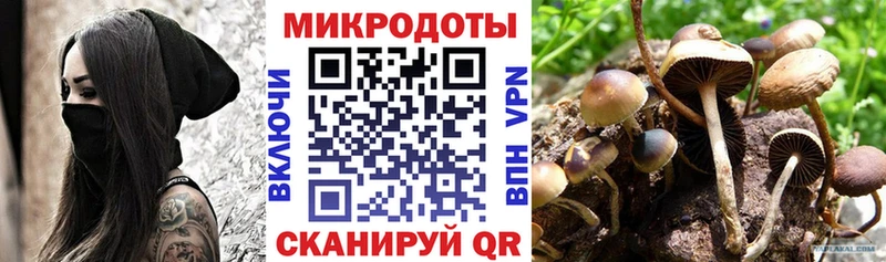 Псилоцибиновые грибы GOLDEN TEACHER Апрелевка